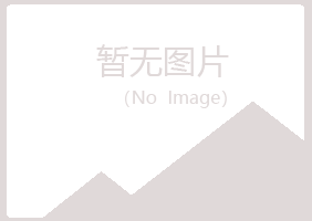 北川县清新咨询有限公司